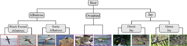 Figure 4 for Adaptive Hierarchical Similarity Metric Learning with Noisy Labels