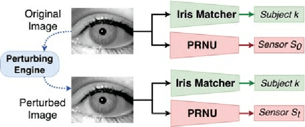 Figure 1 for Spoofing PRNU Patterns of Iris Sensors while Preserving Iris Recognition