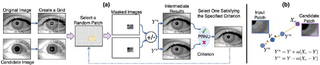 Figure 3 for Spoofing PRNU Patterns of Iris Sensors while Preserving Iris Recognition