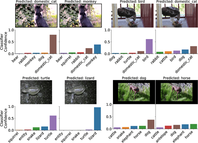 Figure 1 for A systematic framework for natural perturbations from videos