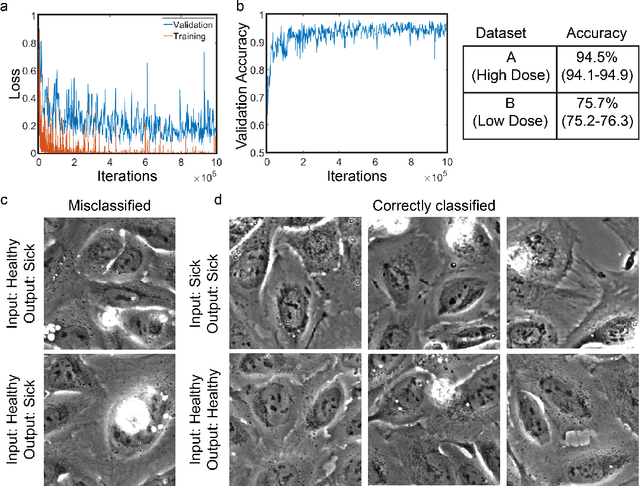 Figure 4 for DeadNet: Identifying Phototoxicity from Label-free Microscopy Images of Cells using Deep ConvNets