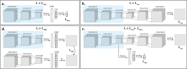 Figure 3 for Comparing representations of biological data learned with different AI paradigms, augmenting and cropping strategies