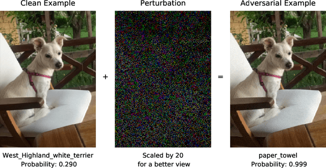Figure 1 for Exploiting epistemic uncertainty of the deep learning models to generate adversarial samples