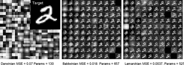 Figure 3 for Convolution by Evolution: Differentiable Pattern Producing Networks