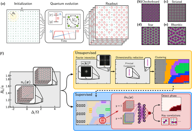 Figure 1 for Machine learning discovery of new phases in programmable quantum simulator snapshots