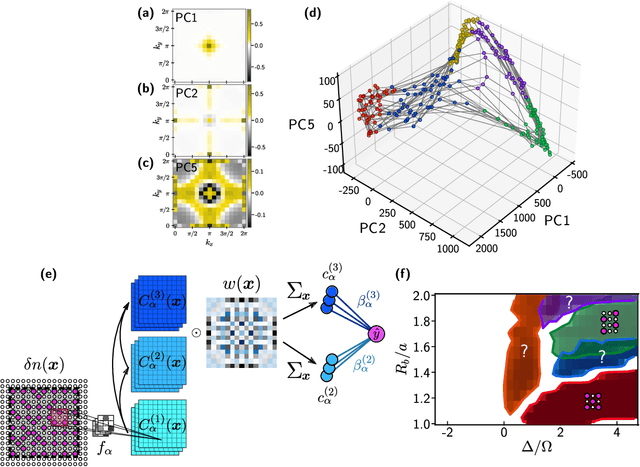 Figure 2 for Machine learning discovery of new phases in programmable quantum simulator snapshots