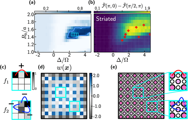 Figure 3 for Machine learning discovery of new phases in programmable quantum simulator snapshots