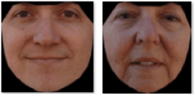 Figure 1 for Evaluating the Effectiveness of Automated Identity Masking (AIM) Methods with Human Perception