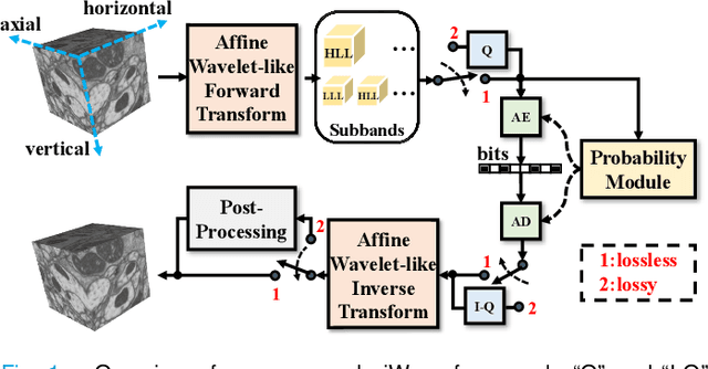 Figure 1 for aiWave: Volumetric Image Compression with 3-D Trained Affine Wavelet-like Transform