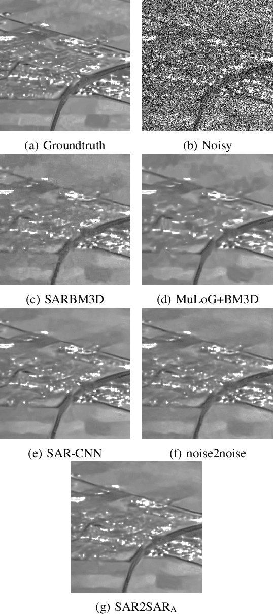 Figure 3 for SAR2SAR: a self-supervised despeckling algorithm for SAR images