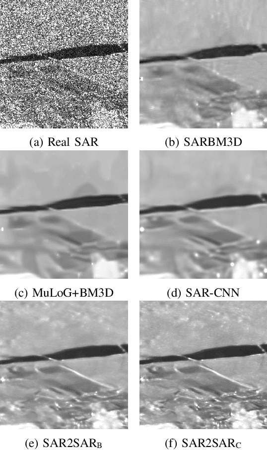 Figure 4 for SAR2SAR: a self-supervised despeckling algorithm for SAR images