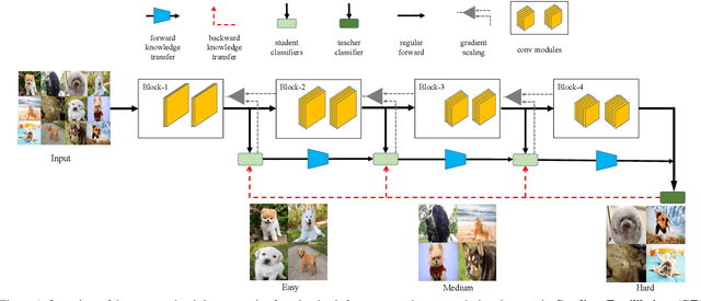 Figure 1 for Improved Techniques for Training Adaptive Deep Networks
