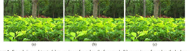 Figure 1 for Real-MFF Dataset: A Large Realistic Multi-focus Image Dataset with Ground Truth