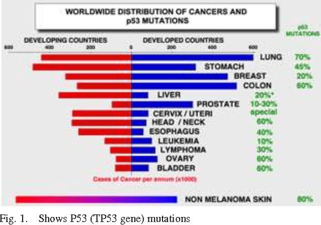 Figure 1 for Effective Data Mining Technique for Classification Cancers via Mutations in Gene using Neural Network