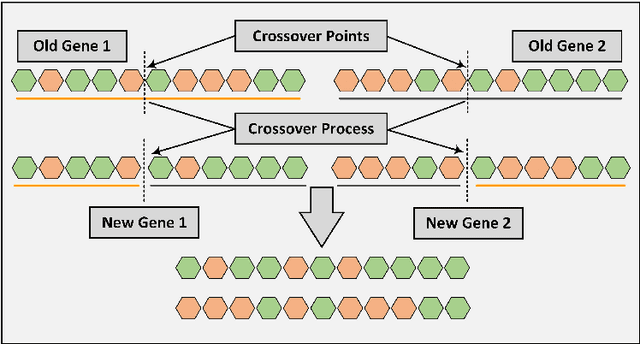 Figure 3 for A Novel Genetic Search Scheme Based on Nature -- Inspired Evolutionary Algorithms for Self-Dual Codes