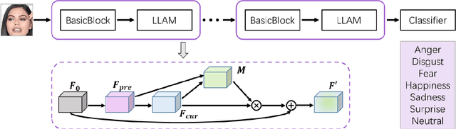 Figure 1 for Lossless Attention in Convolutional Networks for Facial Expression Recognition in the Wild