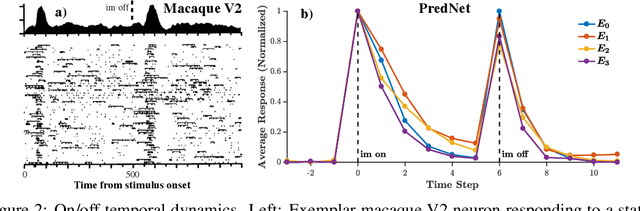 Figure 3 for A neural network trained to predict future video frames mimics critical properties of biological neuronal responses and perception