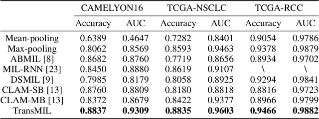 Figure 2 for TransMIL: Transformer based Correlated Multiple Instance Learning for Whole Slide Image Classication