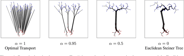 Figure 1 for Theory and Approximate Solvers for Branched Optimal Transport with Multiple Sources