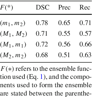 Figure 4 for Using spatial-temporal ensembles of convolutional neural networks for lumen segmentation in ureteroscopy