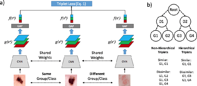 Figure 1 for Collaborative Human-AI (CHAI): Evidence-Based Interpretable Melanoma Classification in Dermoscopic Images