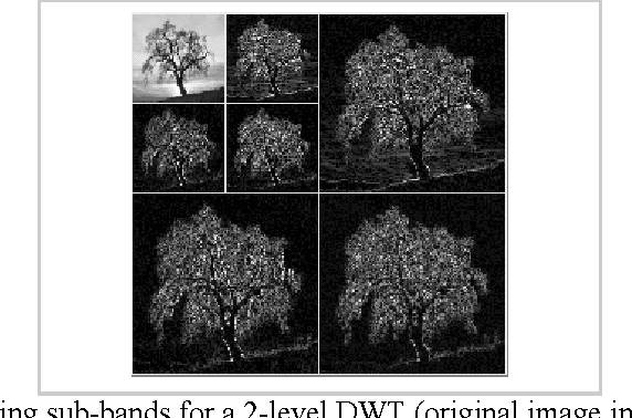 Figure 3 for Texture feature extraction in the spatial-frequency domain for content-based image retrieval