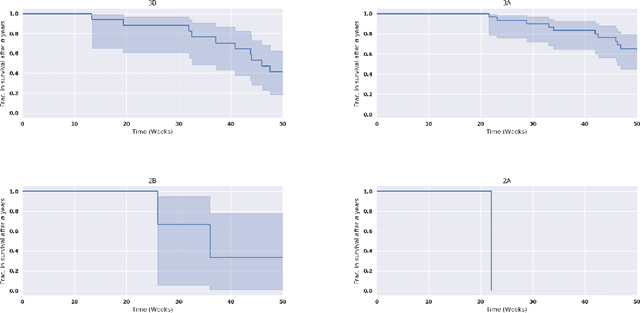 Figure 4 for Novel Radiomic Feature for Survival Prediction of Lung Cancer Patients using Low-Dose CBCT Images