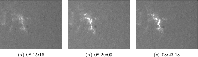 Figure 1 for Filament and Flare Detection in Hα image sequences