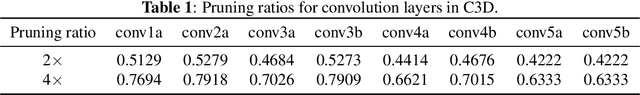 Figure 2 for Three Dimensional Convolutional Neural Network Pruning with Regularization-Based Method