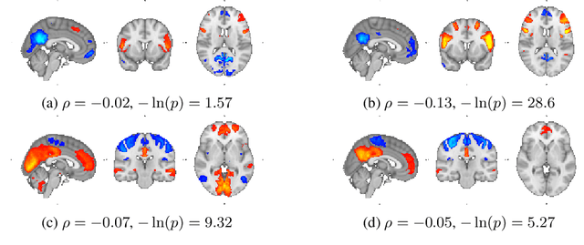 Figure 2 for Learning Robust Hierarchical Patterns of Human Brain across Many fMRI Studies