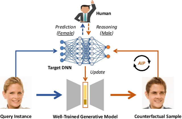 Figure 1 for Generative Counterfactuals for Neural Networks via Attribute-Informed Perturbation