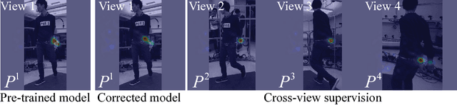 Figure 2 for Multiview Supervision By Registration