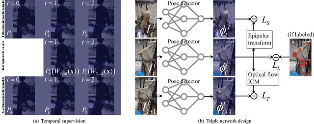 Figure 3 for Multiview Supervision By Registration