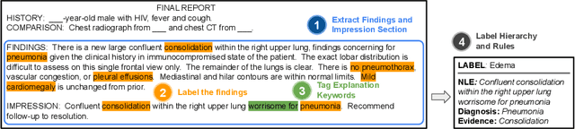 Figure 1 for Explaining Chest X-ray Pathologies in Natural Language