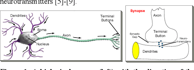 Figure 1 for Exploiting Heterogeneity in Operational Neural Networks by Synaptic Plasticity