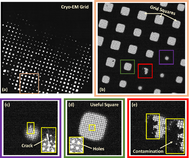 Figure 1 for Attention-guided Quality Assessment for Automated Cryo-EM Grid Screening