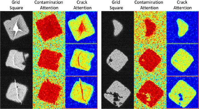 Figure 4 for Attention-guided Quality Assessment for Automated Cryo-EM Grid Screening