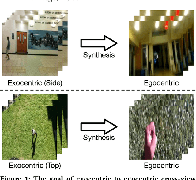 Figure 1 for Cross-View Exocentric to Egocentric Video Synthesis