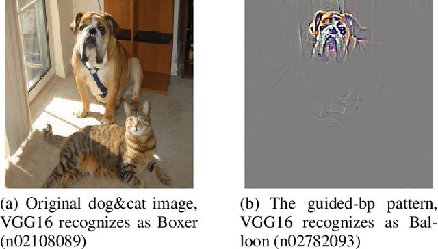 Figure 1 for AdjointBackMap: Reconstructing Effective Decision Hypersurfaces from CNN Layers Using Adjoint Operators