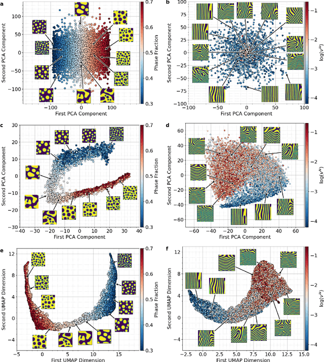 Figure 2 for Inferring topological transitions in pattern-forming processes with self-supervised learning