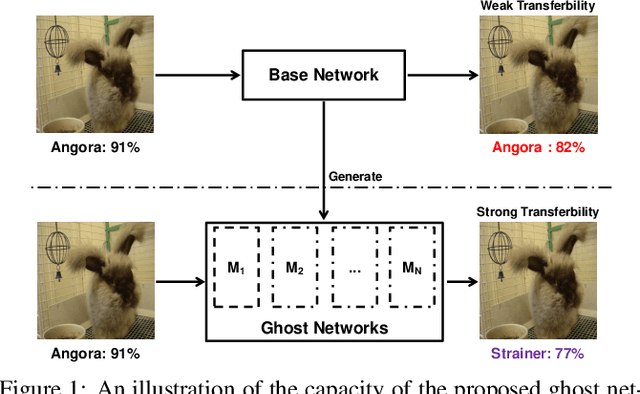 Figure 1 for Learning Transferable Adversarial Examples via Ghost Networks
