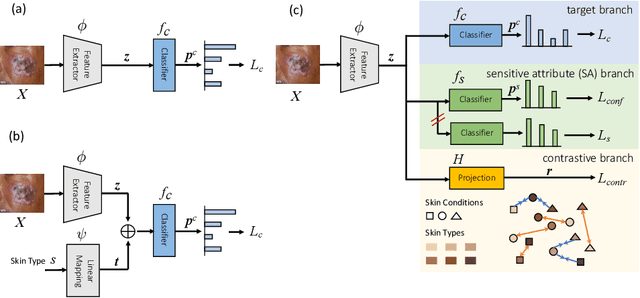 Figure 1 for FairDisCo: Fairer AI in Dermatology via Disentanglement Contrastive Learning