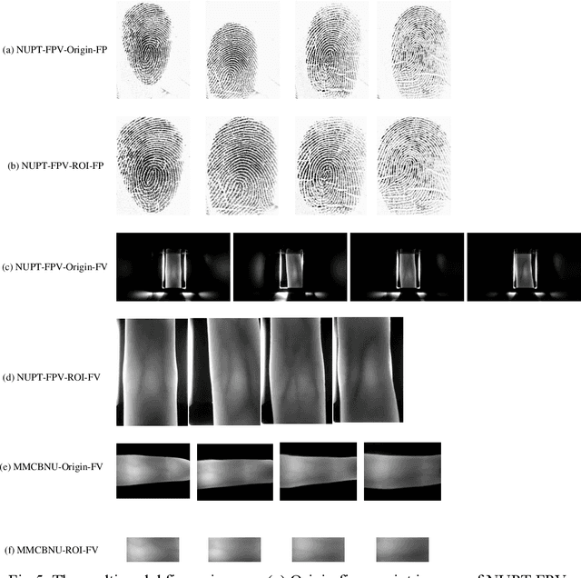 Figure 2 for Finger Multimodal Feature Fusion and Recognition Based on Channel Spatial Attention