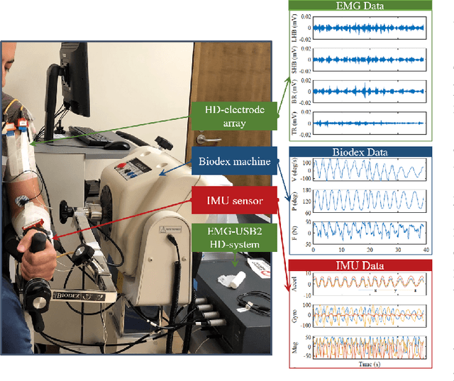 Figure 1 for Multimodal Estimation of End Point Force During Quasi-dynamic and Dynamic Muscle Contractions Using Deep Learning