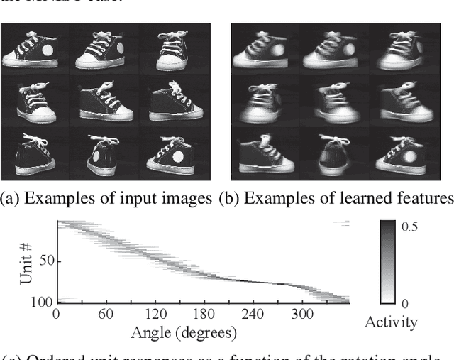 Figure 4 for A Spiking Neural Network with Local Learning Rules Derived From Nonnegative Similarity Matching