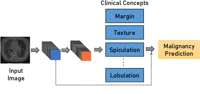 Figure 3 for Transparency of Deep Neural Networks for Medical Image Analysis: A Review of Interpretability Methods