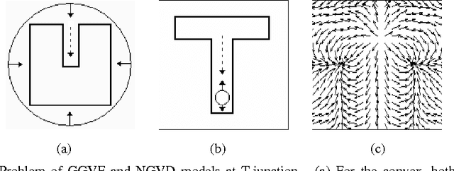 Figure 1 for Physical Modeling Techniques in Active Contours for Image Segmentation