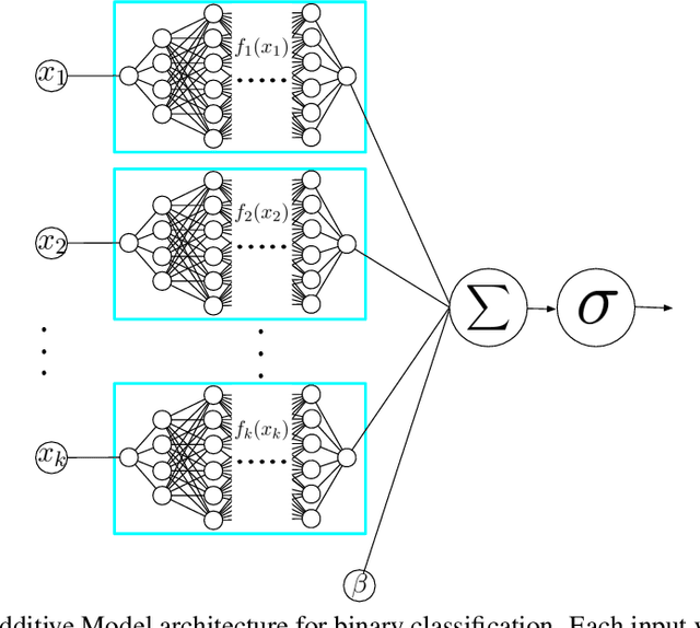 Figure 1 for Neural Additive Models: Interpretable Machine Learning with Neural Nets