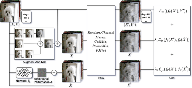 Figure 1 for AugRmixAT: A Data Processing and Training Method for Improving Multiple Robustness and Generalization Performance