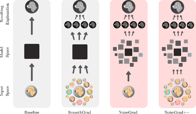 Figure 1 for NoiseGrad: enhancing explanations by introducing stochasticity to model weights